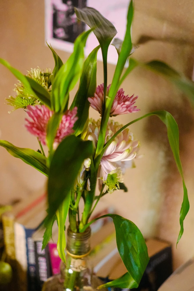 Image uploaded by Alo