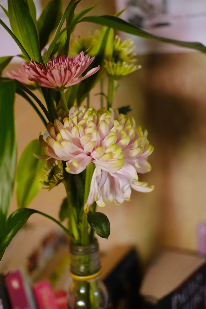 Image uploaded by Alo