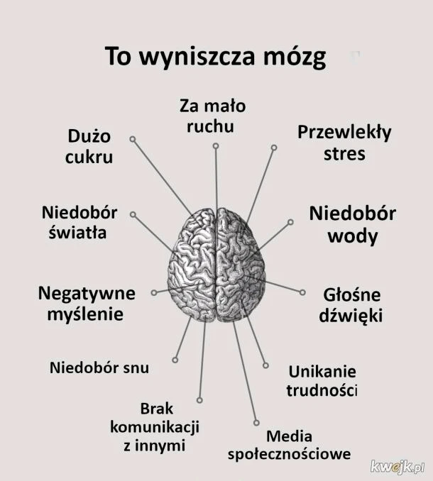 GIF dodany przez Piotr