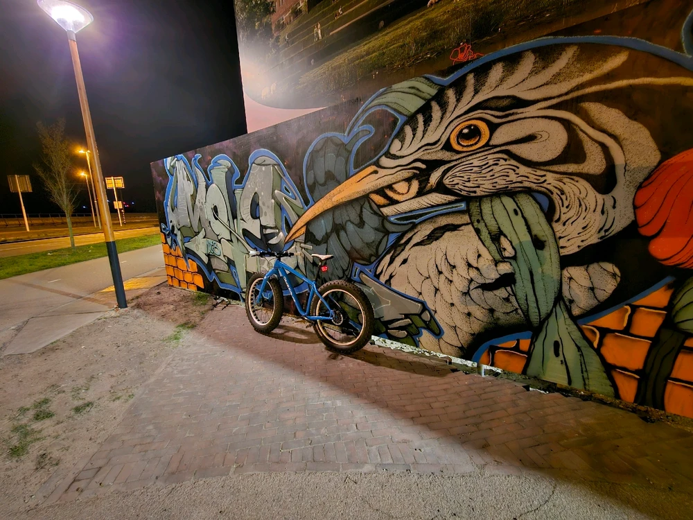 Image uploaded by Selman