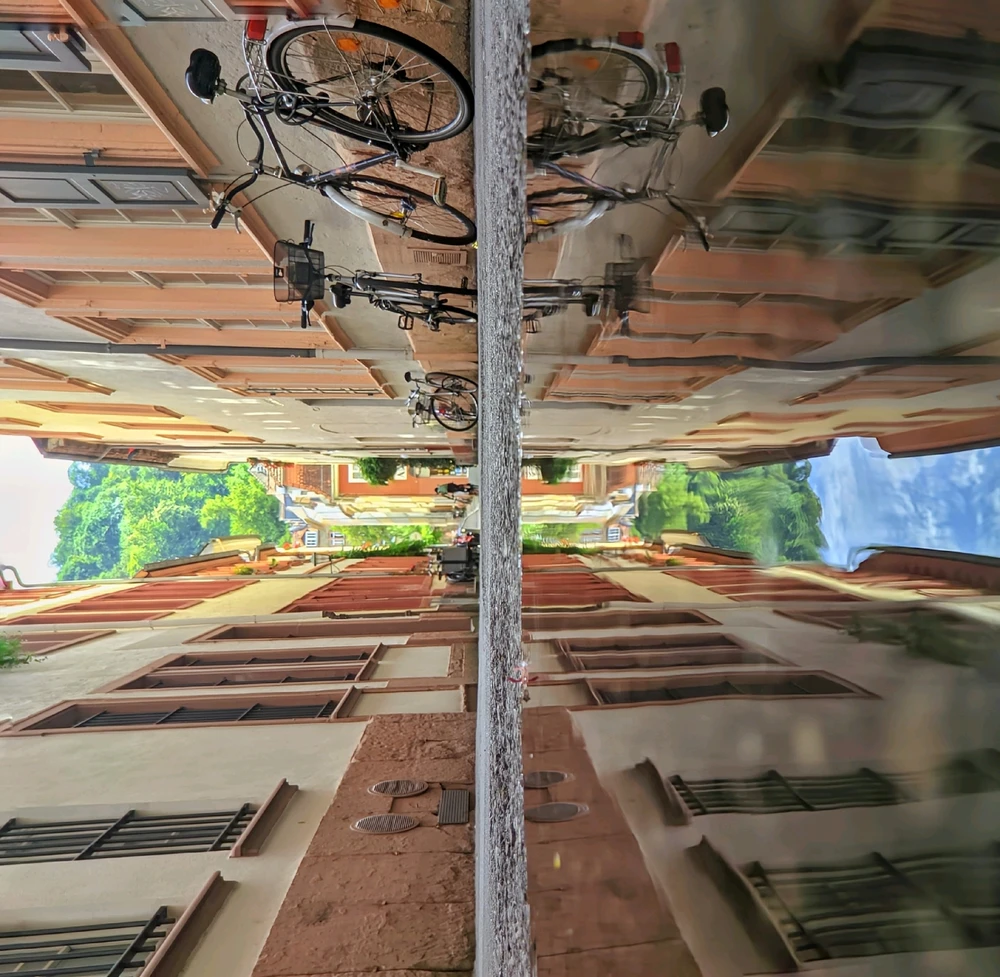 Image uploaded by Michael