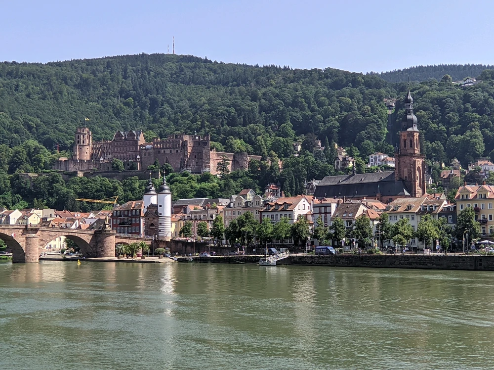 Image uploaded by Michael