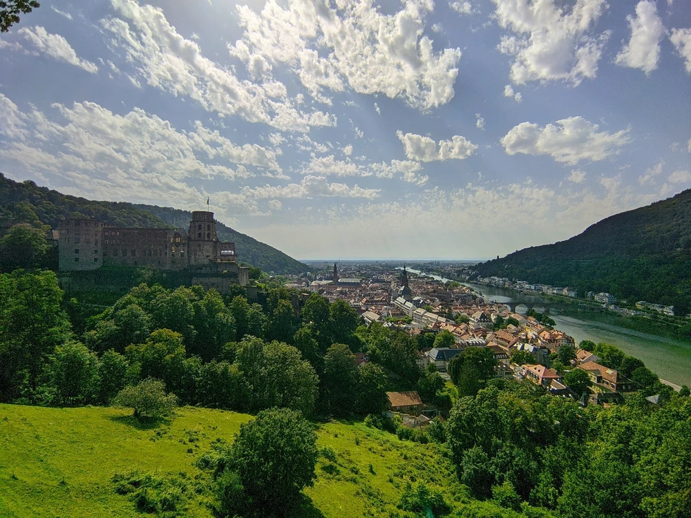 Image uploaded by Michael