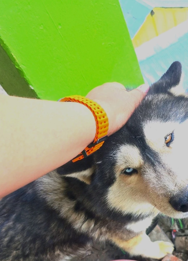 Image uploaded by Divyansh Anand