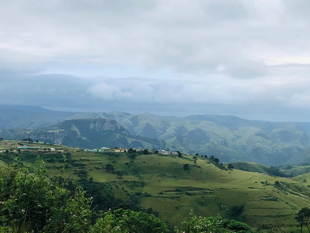 Image uploaded by Blackish