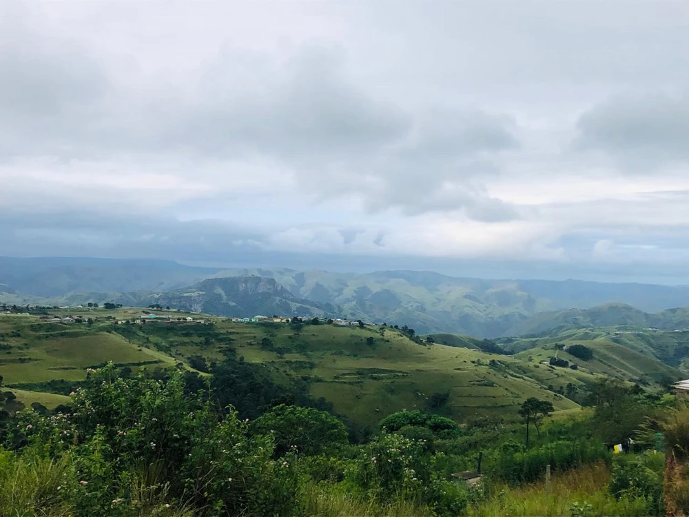 Image uploaded by Blackish