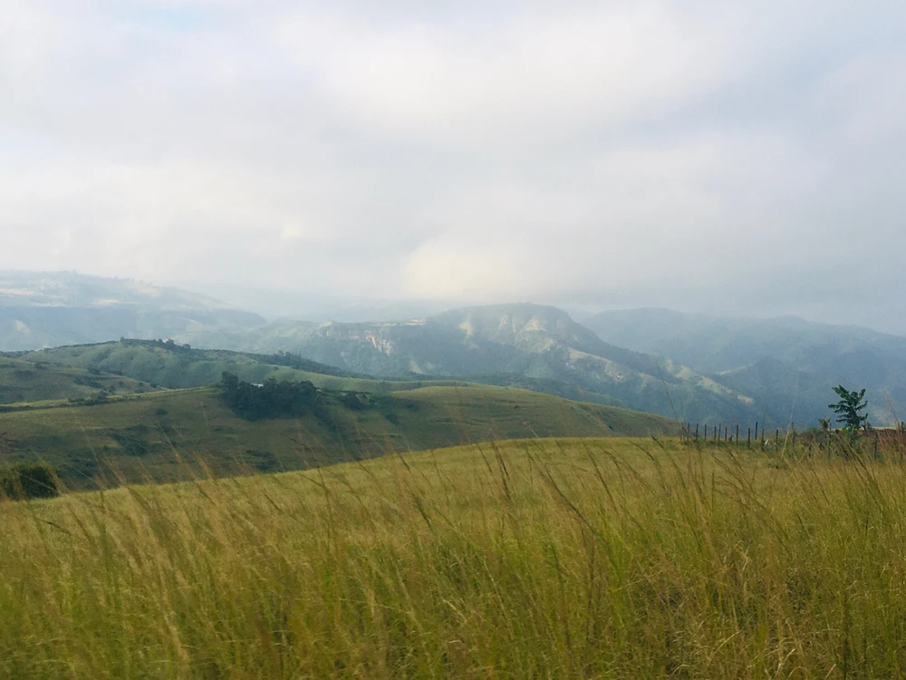 Image uploaded by Blackish