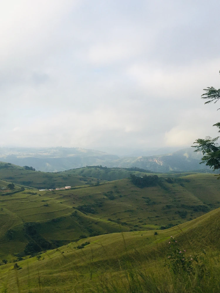 Image uploaded by Blackish