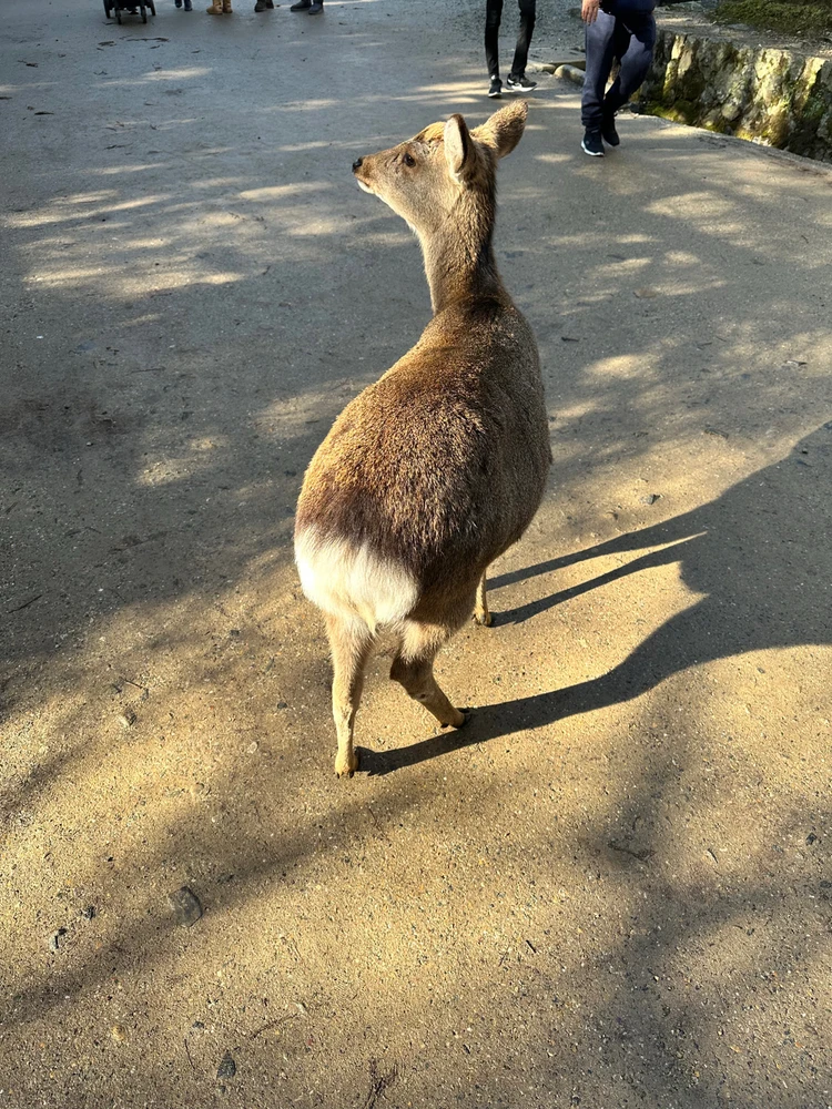 Image uploaded by Jack