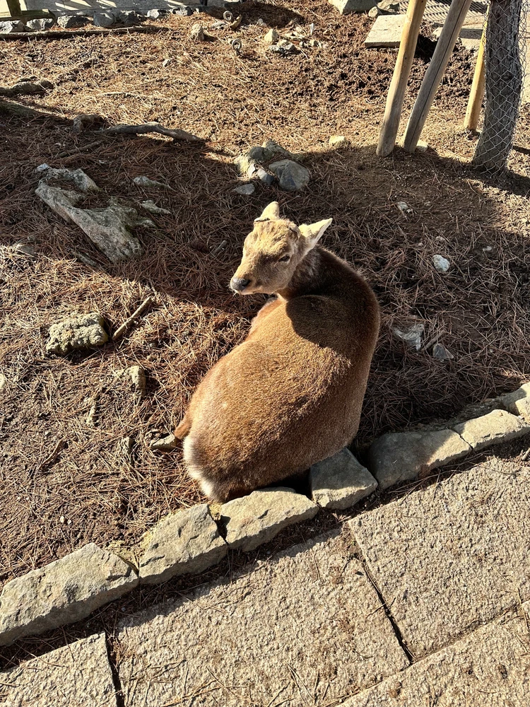 Image uploaded by Jack