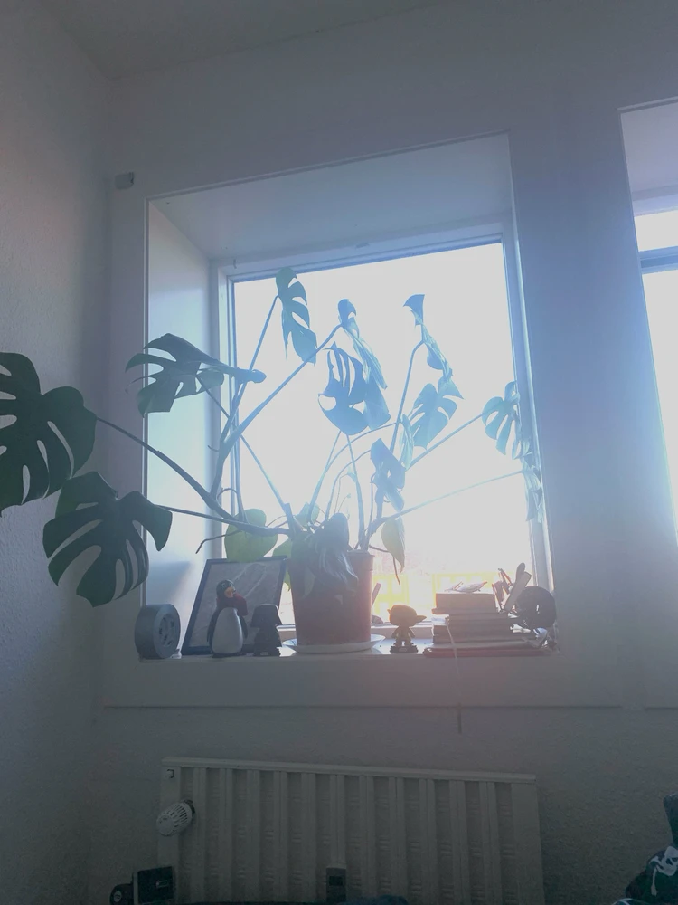 GIF uploaded by Phil