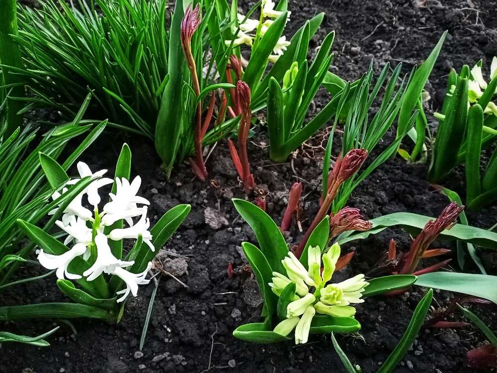 Зображення завантажив Black Mirror (⁠◔⁠‿⁠◔⁠)