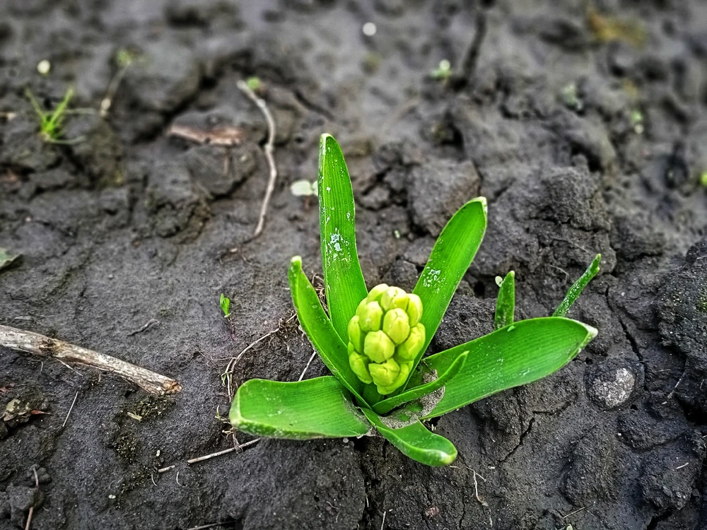 Зображення завантажив Black Mirror (⁠◔⁠‿⁠◔⁠)