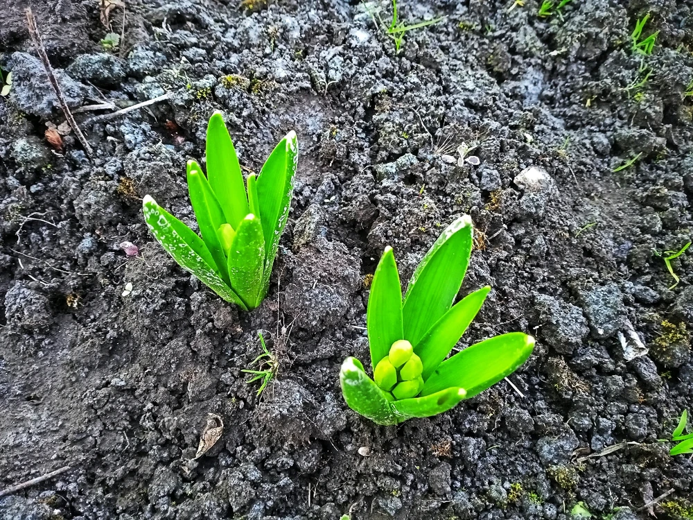 Зображення завантажив Black Mirror (⁠◔⁠‿⁠◔⁠)