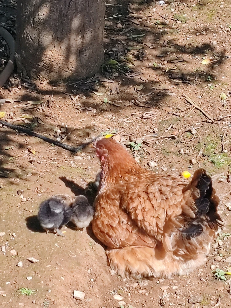 GIF caricata da Andres