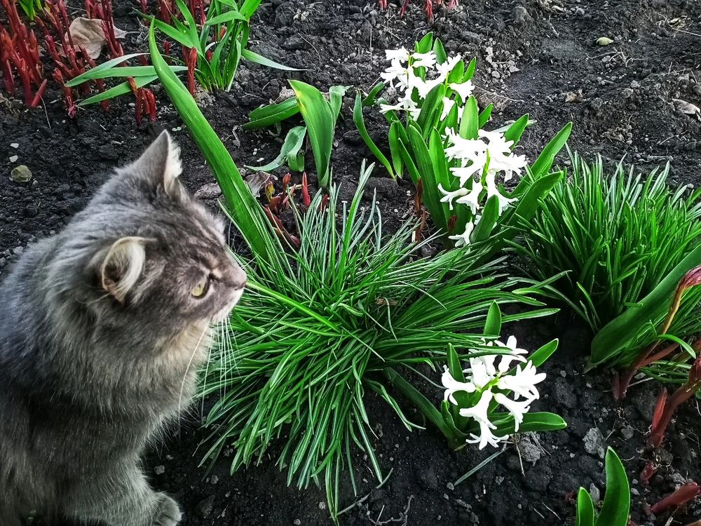 Image uploaded by Black Mirror (◔‿◔)