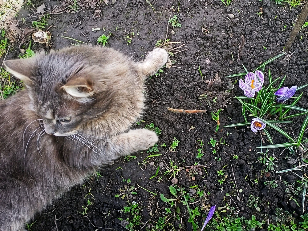 Image uploaded by Black Mirror (◔‿◔)