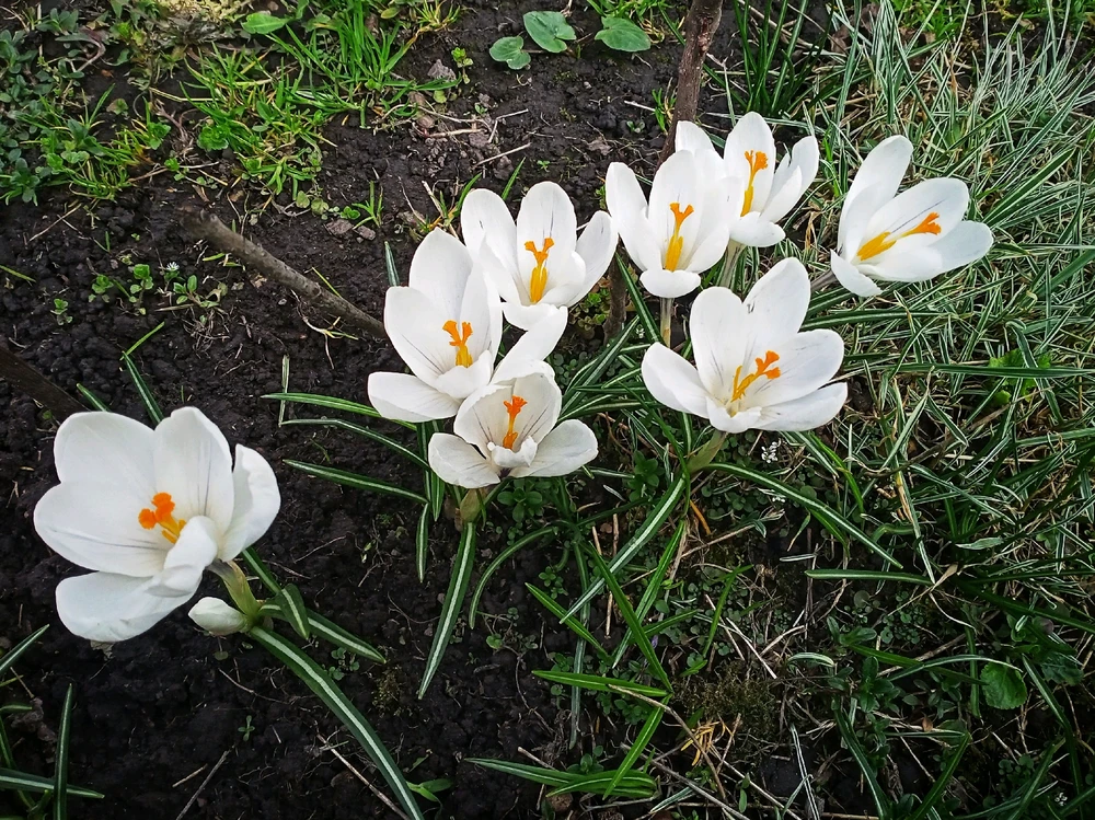 Image uploaded by Black Mirror (◔‿◔)