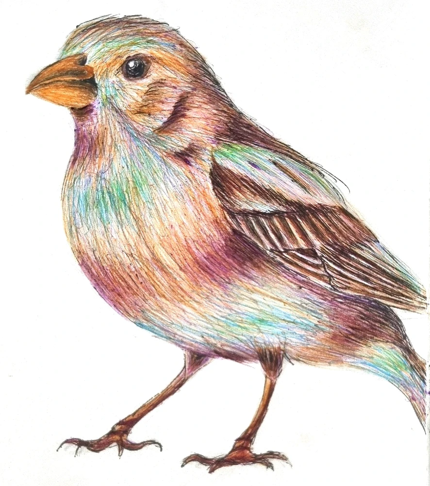 Image uploaded by Miguel Cano