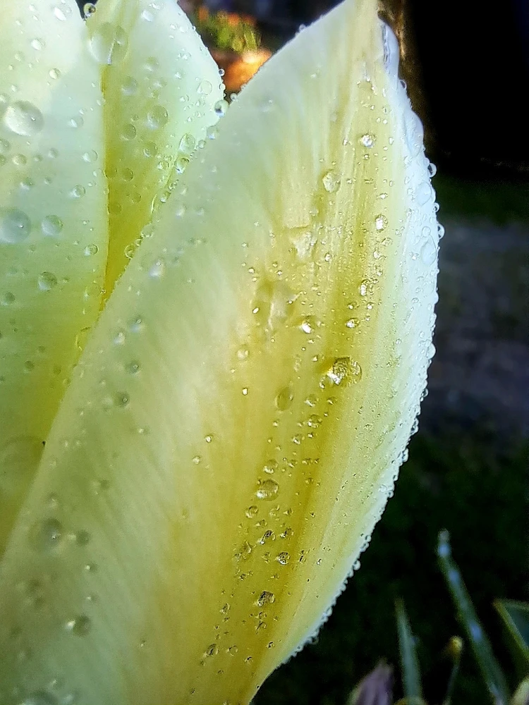 GIF uploaded by JD