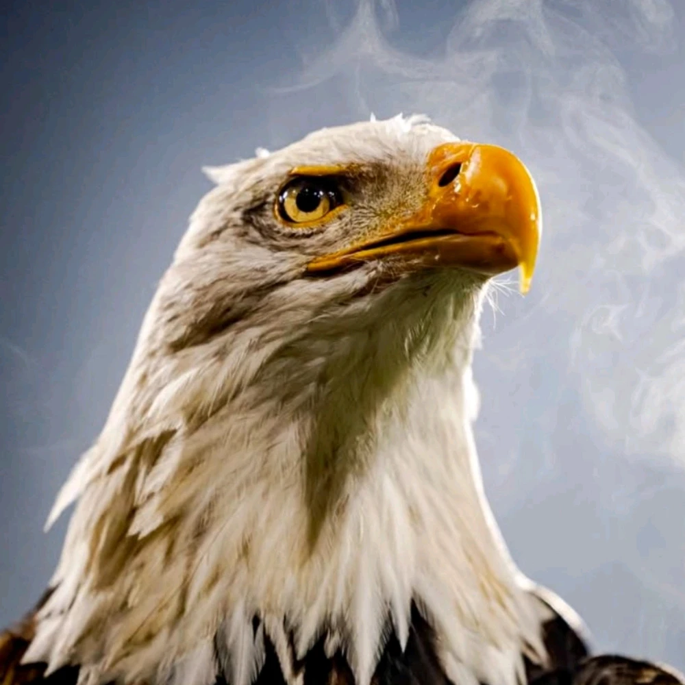 GIF enviado por Tiago