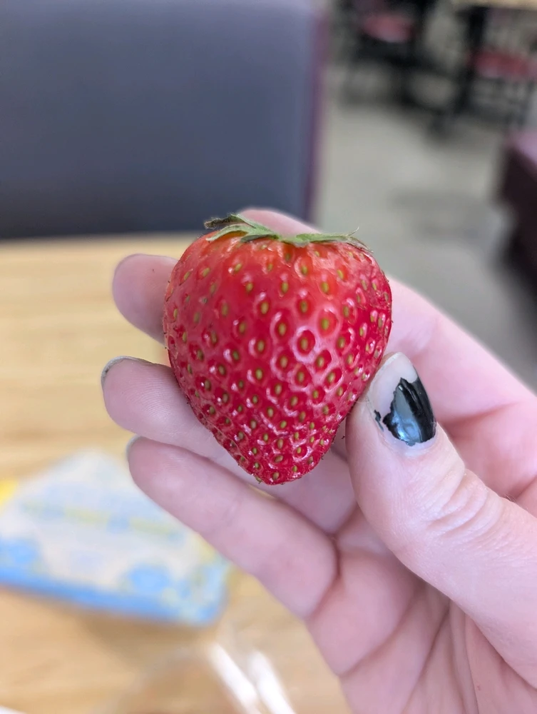 GIF uploaded by Alanah