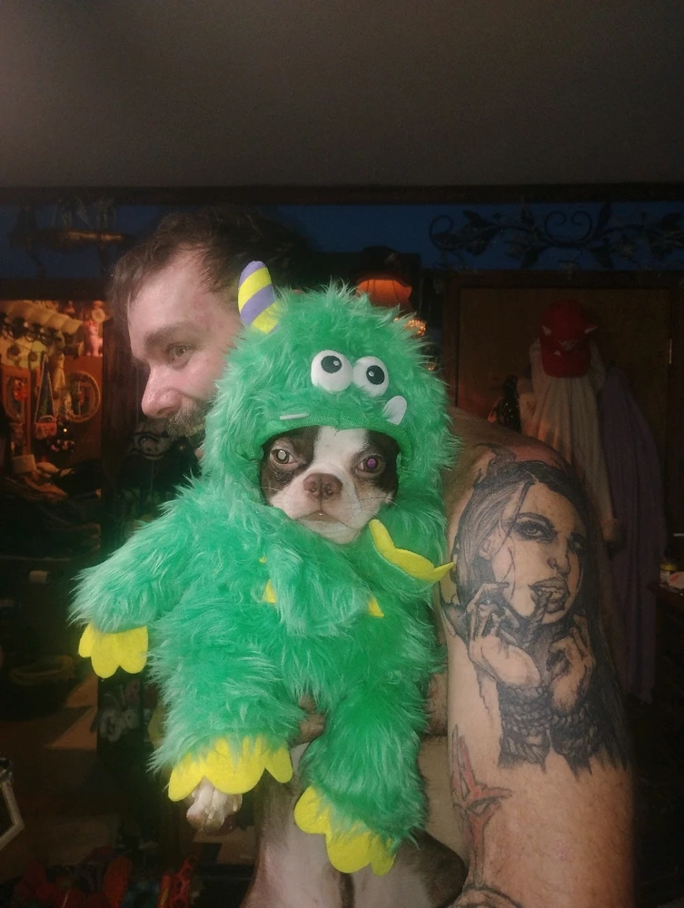 GIF uploaded by Neil Kalloway