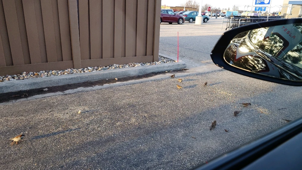 Image uploaded by Matthew