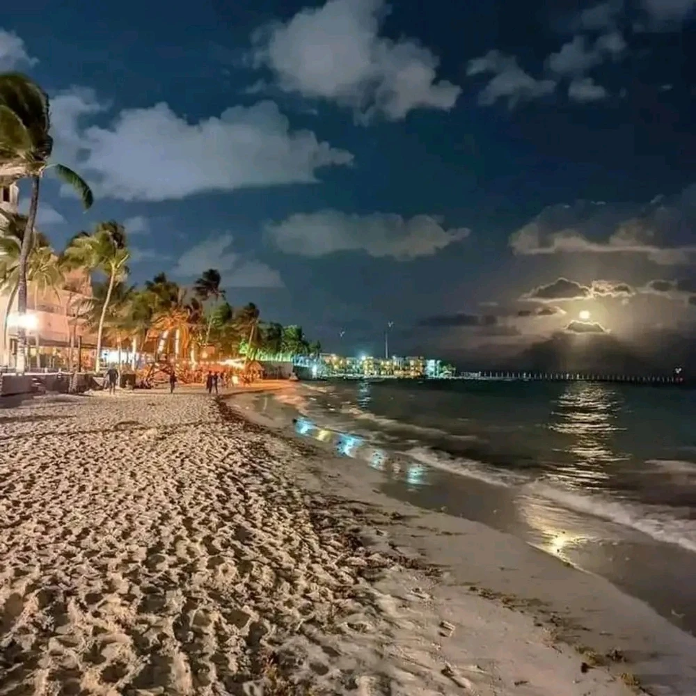 GIF uploaded by ❤ Sophia aka Mango Mami ❤️