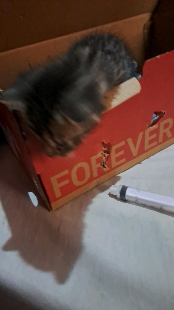 Imagen subida por Ash Lisbethsma 🌹❤️