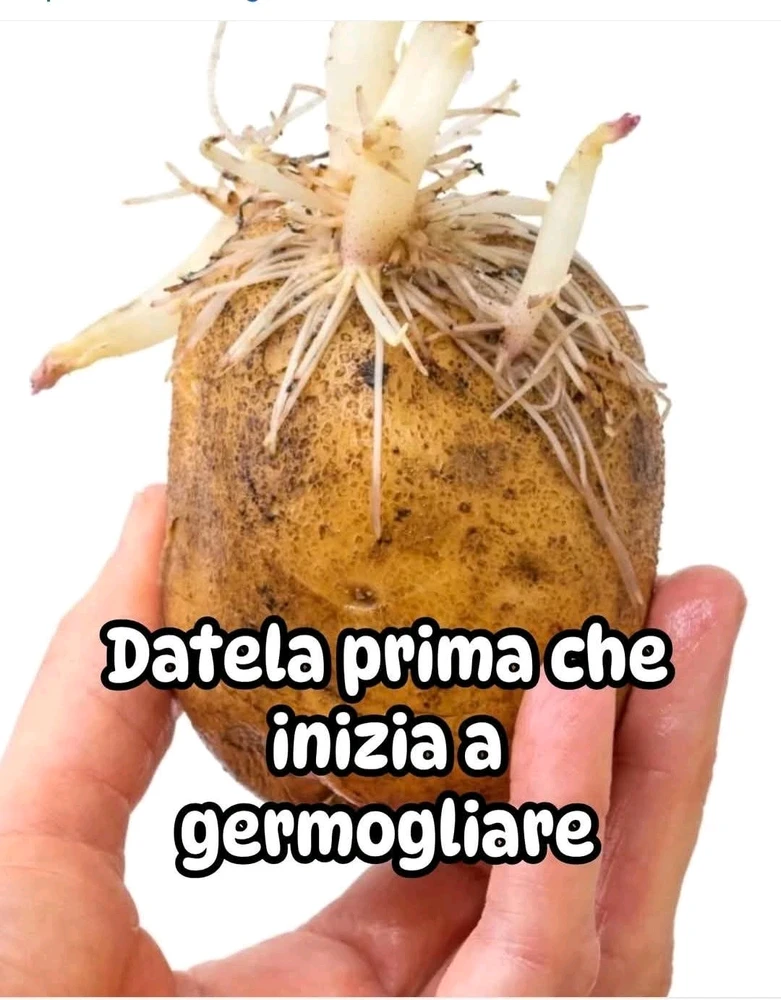 Solo un consiglio, poi fate come vi pare