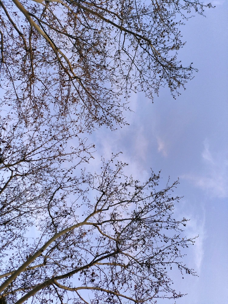 GIF subido por J 🕊️