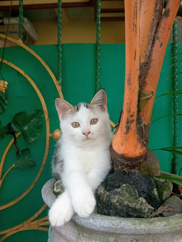 GIF uploaded by brilly