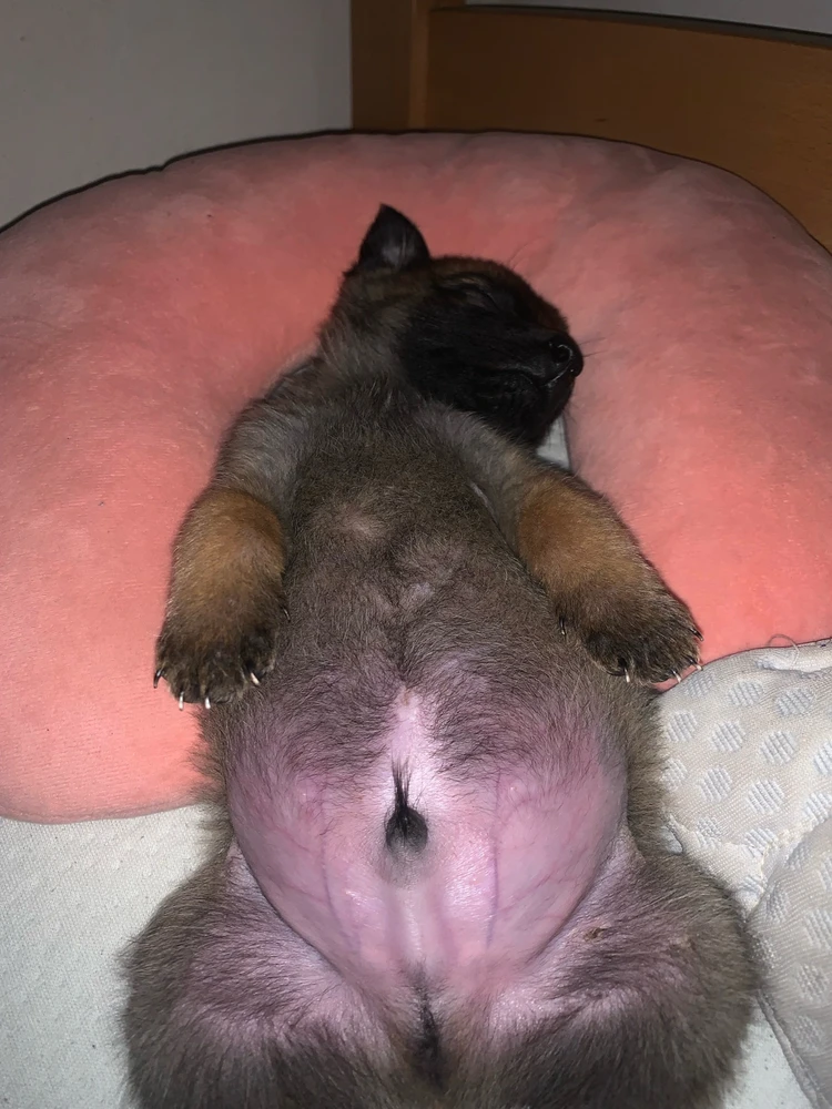 Image uploaded by Andjela