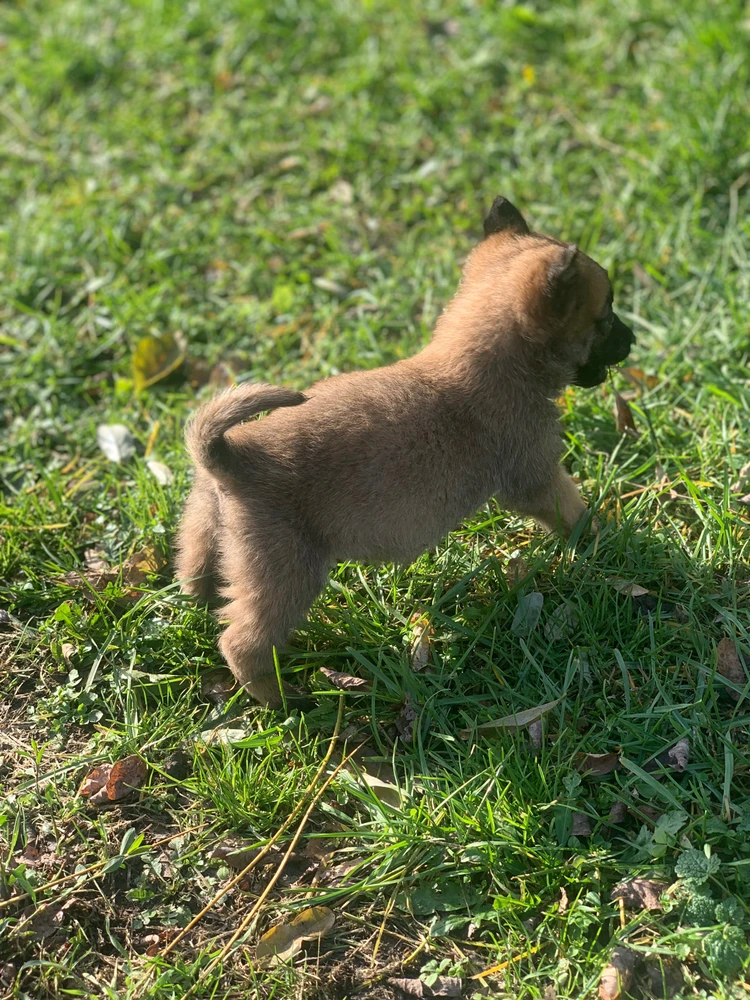 Image uploaded by Andjela