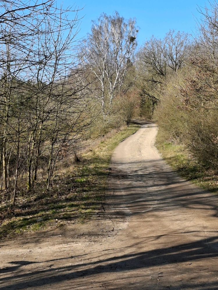 Bild hochgeladen von Thomas