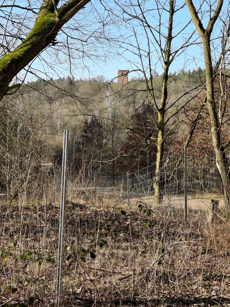 Bild hochgeladen von Thomas