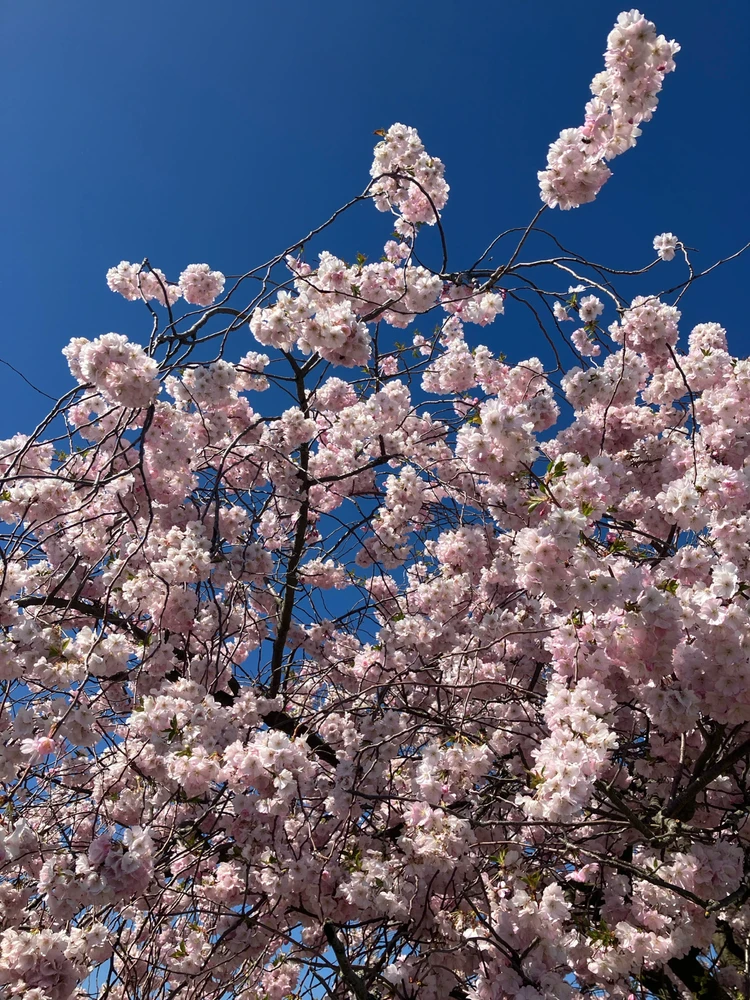 GIF nahrál Kateřina