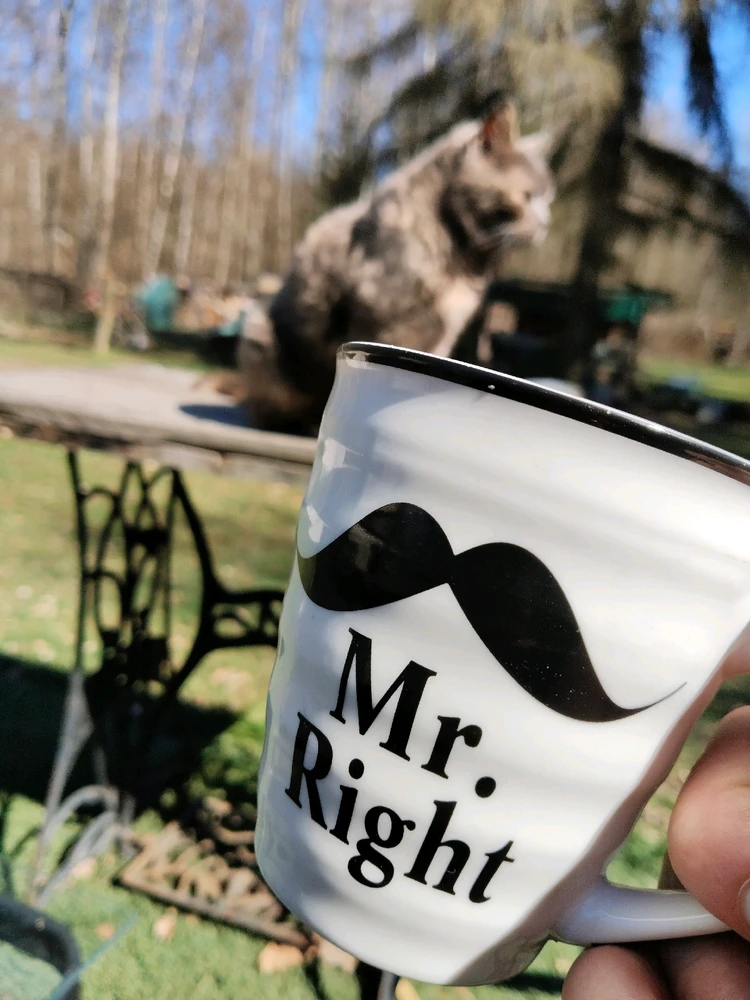 GIF nahrál Budu Mates