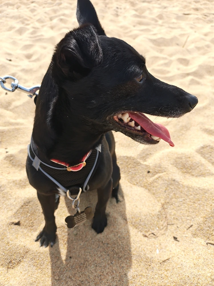 Image uploaded by Mercury