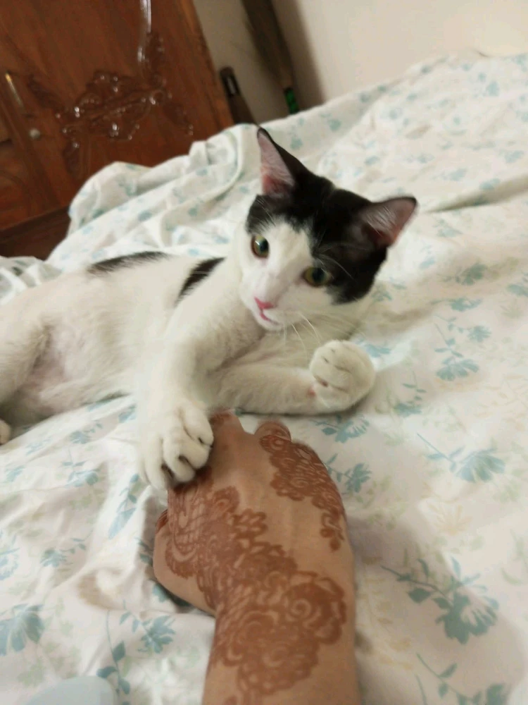 GIF uploaded by ikhfA