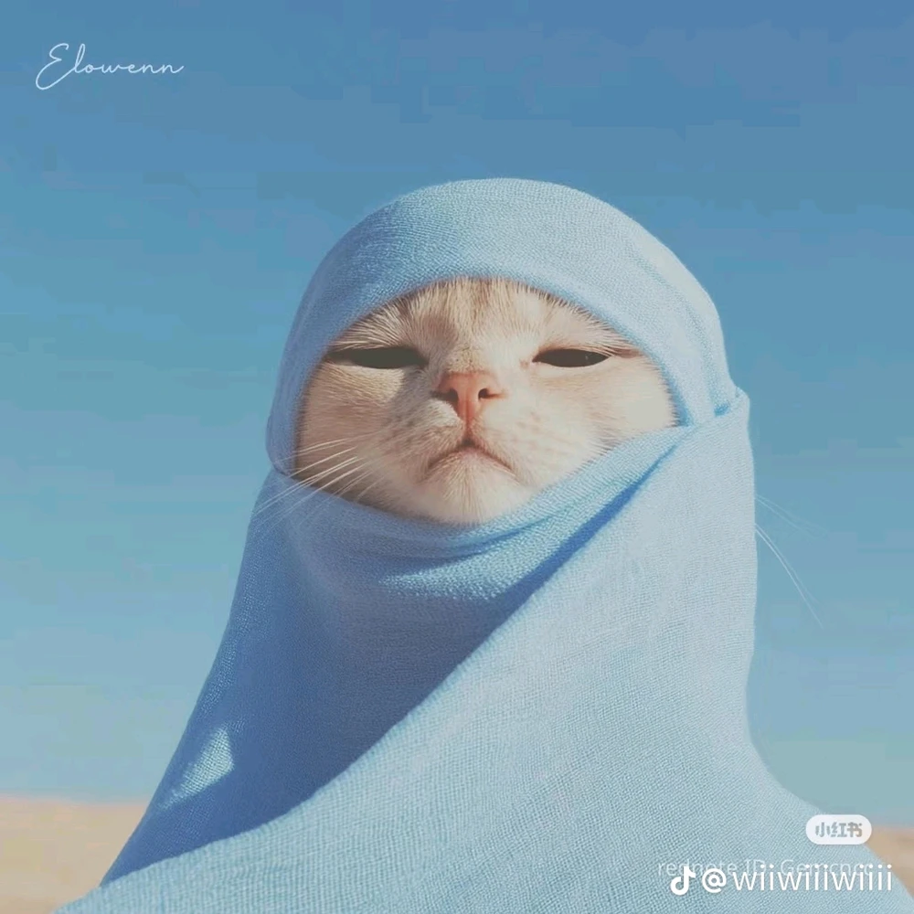 由ꨄ𝐃ꨄ上传的图片