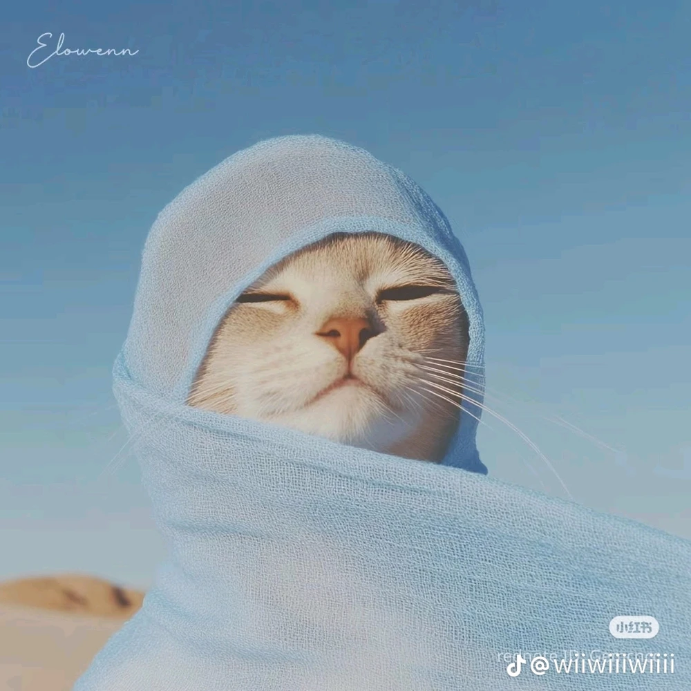 由ꨄ𝐃ꨄ上传的图片