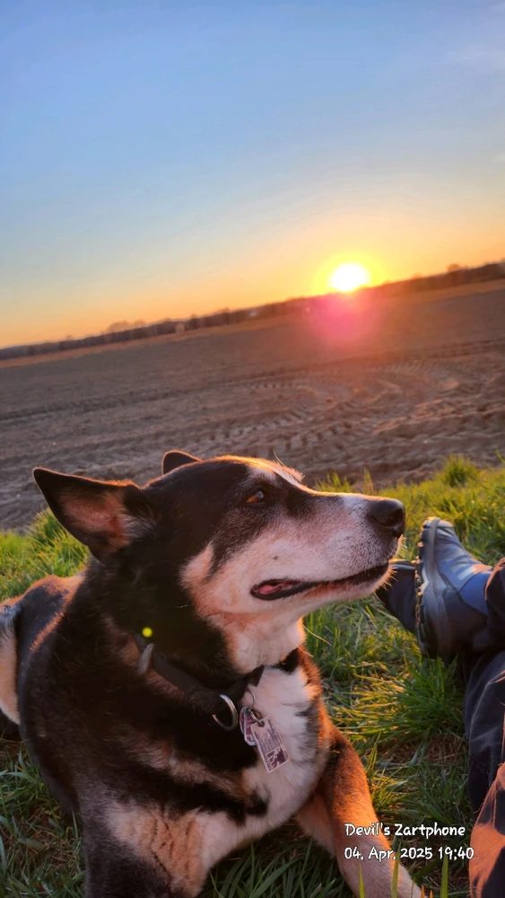 Bild hochgeladen von Devil