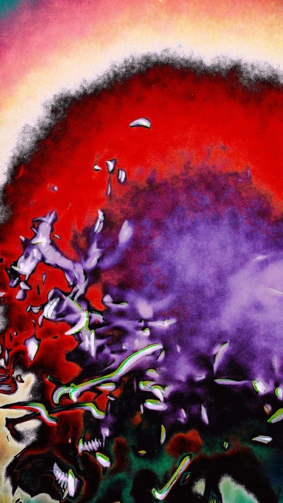 GIF uploaded by Harrison