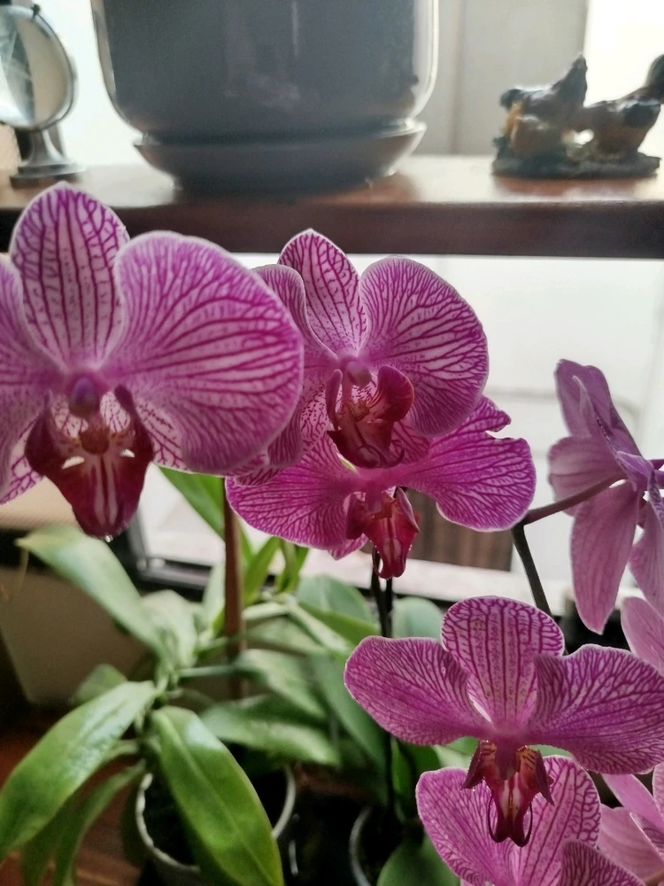 GIF subido por Yederman Carvajal