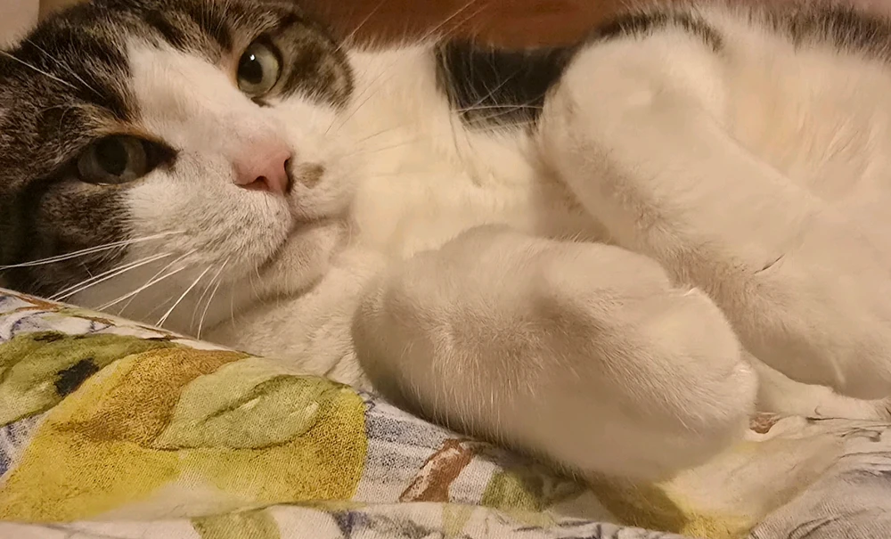 GIF caricata da Luca