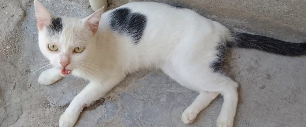 GIF enviado por Kelly