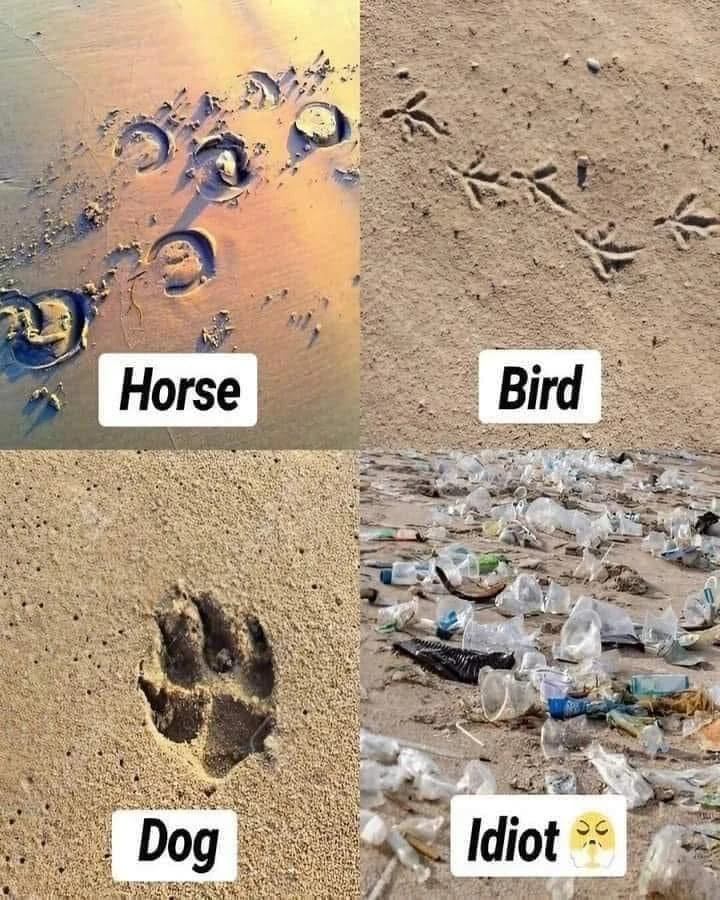 Imagem enviada por Ferreira