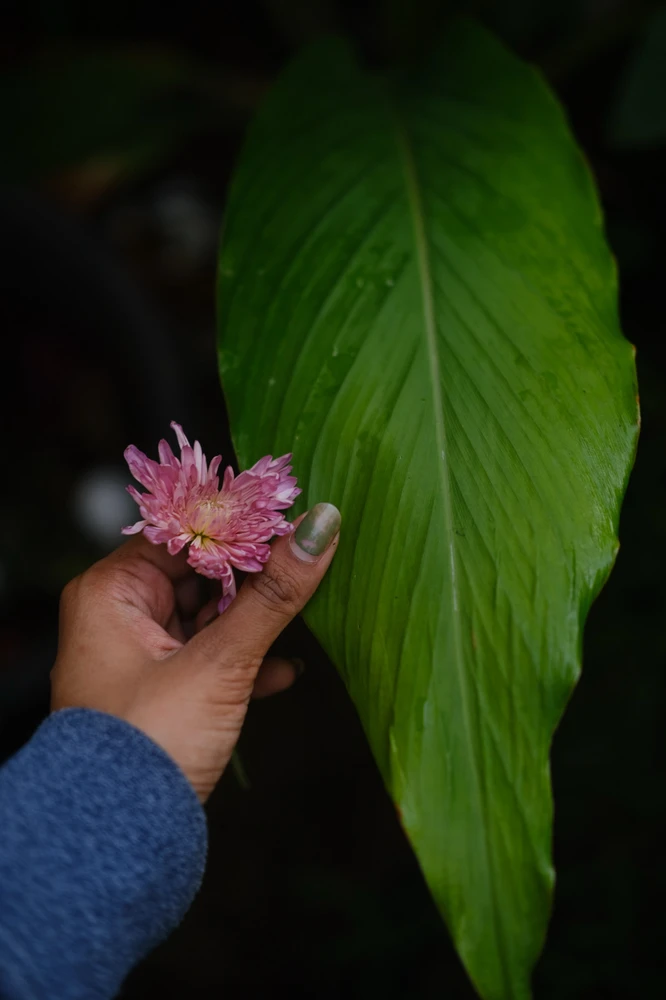 Image uploaded by Alo